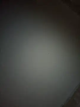 gazb90 online show from December 16, 11:34 pm