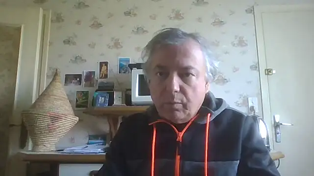 gegevincent online show from April 23, 11:15 am