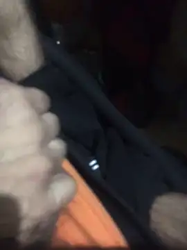 Luigi831 online show from April 12, 5:09 am