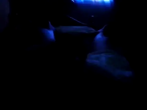 Gee33 online show from February 26, 10:55 pm