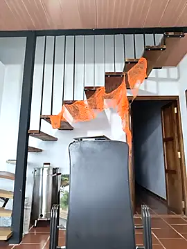 Hiroshi Shen online show from November 5, 11:23 am