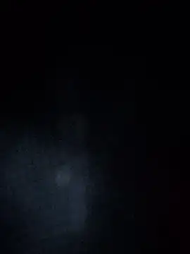 Cnutt310 online show from April 13, 10:05 am