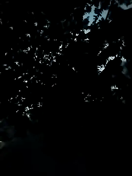 Girls pussy rider online show from November 24, 12:39 pm