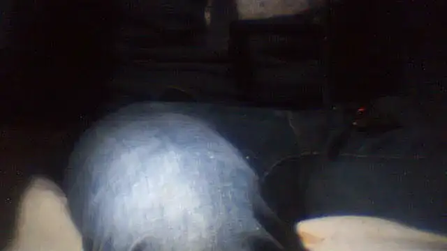 pietje1991 online show from February 6, 12:51 am