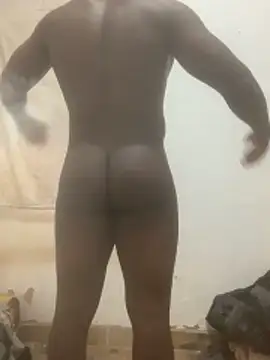 bitfhjkvxs online show from November 8, 2:20 pm