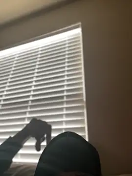 Dolla-Billlz online show from March 15, 2:45 pm