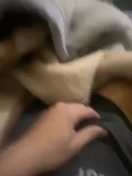 zackria online show from December 20, 12:29 am