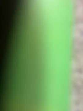 GostosoLeite online show from March 4, 9:22 pm