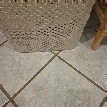 jokoo6 online show from November 17, 6:05 am