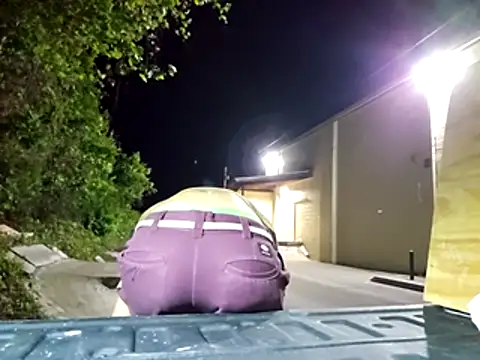 sloppytopkins online show from April 28, 1:55 am