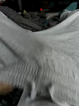 Frankieyyy1 online show from November 28, 7:44 am