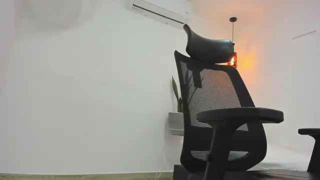 damian bull online show from November 1, 8:35 pm