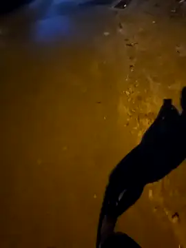 Kunbet online show from April 9, 3:51 pm