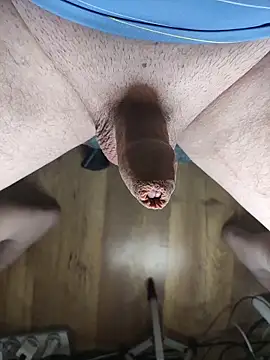 TobyDick13 online show from February 19, 7:32 pm