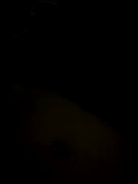 gaabpxn online show from December 2, 5:54 am