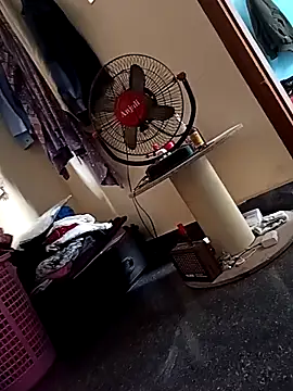 NogenBigdesyboy online show from March 13, 6:32 am