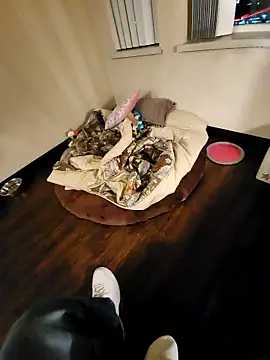 jmoney1219 online show from December 21, 8:11 am