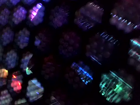 Wyrolowanyyy online show from April 15, 12:21 am