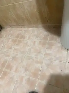 Binuthomas online show from December 4, 7:10 pm