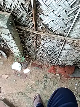 dolphiinn online show from October 18, 9:03 am