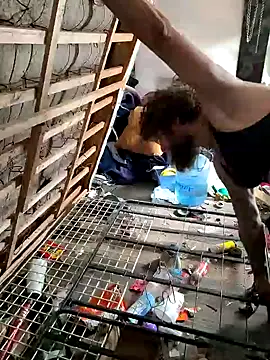 bearded cross online show from November 22, 8:41 pm