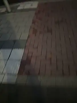 Snapshot of LunaNiko69Versaut chatting on September 21, 4:56 am LunaNiko69Versaut online show from September 21, 4:56 am