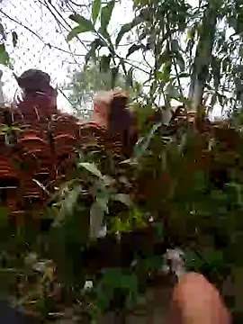 magraocam online show from November 13, 4:55 pm