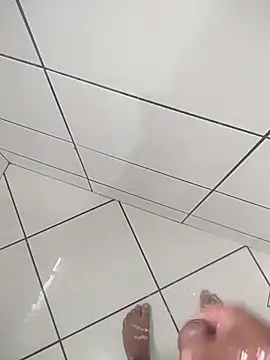 Novin23cms online show from November 18, 7:28 pm