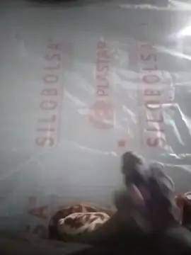 Kaygsy online show from December 17, 6:58 pm