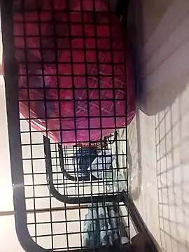 Ferxxxo1503 online show from November 26, 4:15 am