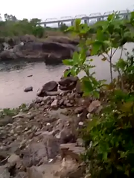 pihu 96 online show from March 29, 12:49 pm