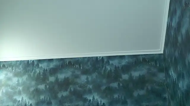 MarkShot  online show from November 8, 4:32 pm