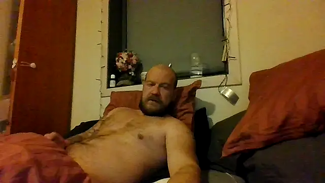 Real viking online show from November 16, 7:10 am