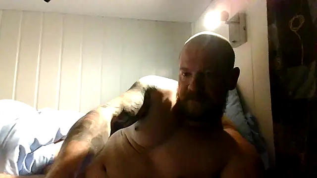 Real viking online show from November 25, 8:22 pm