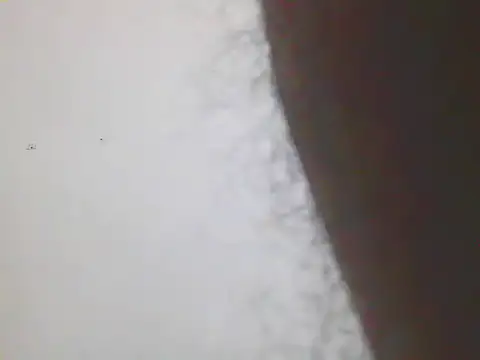 Horny MALLU 6 online show from February 7, 4:35 pm