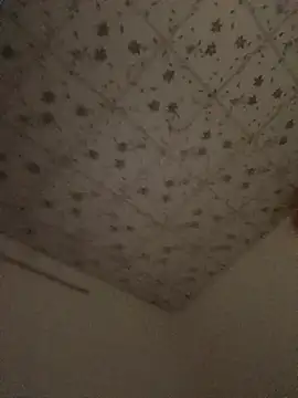 VintageAdmiral110 online show from April 12, 1:56 pm