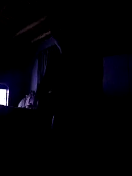  online show from November 6, 4:37 am