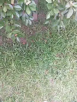 Merlin2310 online show from February 9, 7:40 pm