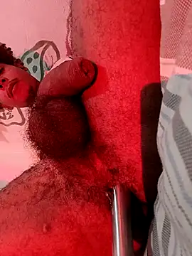 dogstanx online show from March 14, 6:48 pm