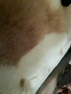 Perfect size online show from November 20, 8:57 am