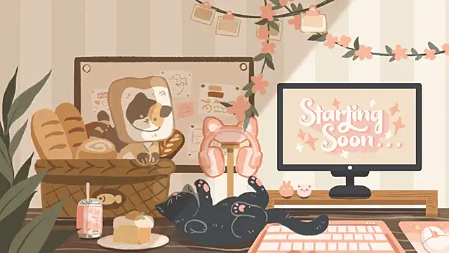 geekycastillo online show from November 17, 3:53 am