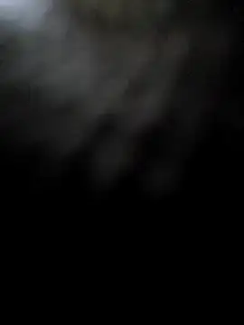 hotestanal online show from December 16, 9:27 am