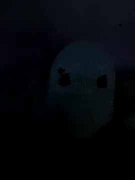 knunesputifero00 online show from April 15, 4:45 am