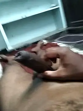 LEOMEGHA2026 online show from April 8, 4:05 pm