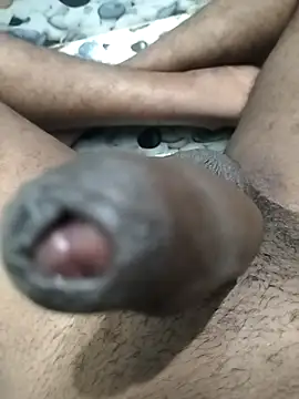 LEOMEGHA2026 online show from November 16, 5:15 pm