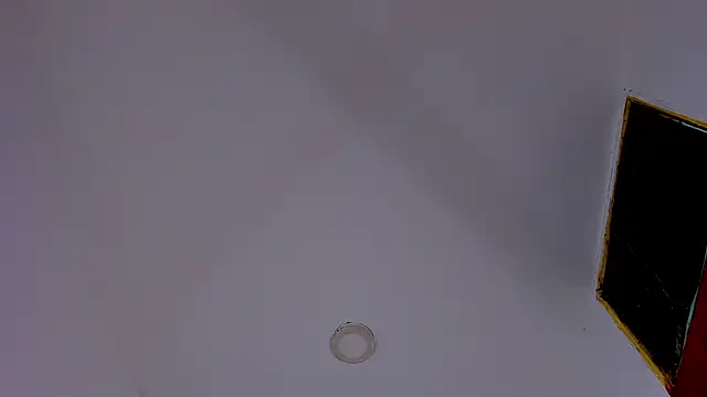 tiven-prince online show from January 11, 1:54 am