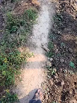 apka rockstarr online show from November 26, 9:12 am