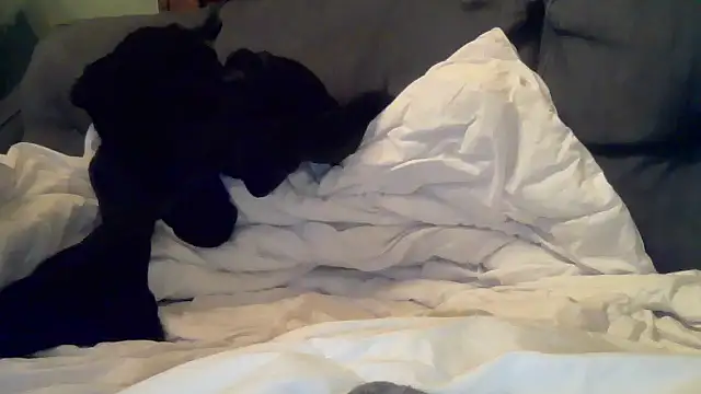 MeatDaddy38 online show from January 11, 6:17 am