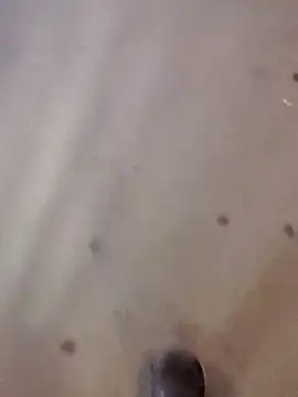 Kannanu online show from March 26, 4:44 pm