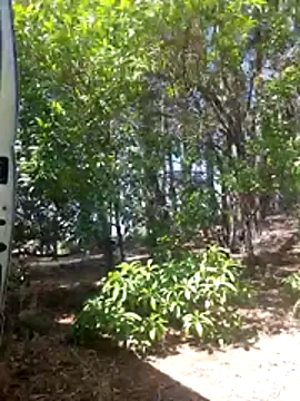 Andypie6 online show from January 12, 2:15 am